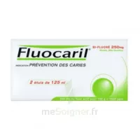 Fluocaril Bi-fluoré 250 Mg Pâte Dentifrice Menthe 2t/125ml à STRASBOURG